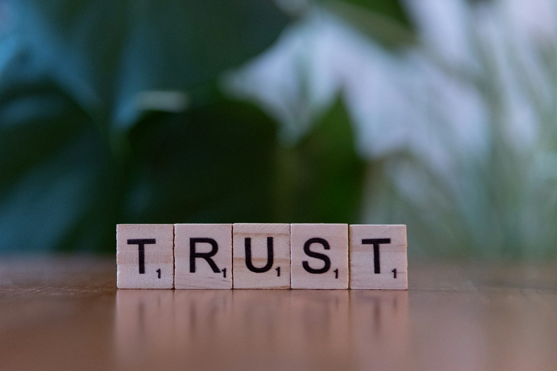 This is how you can benefit from a curated network